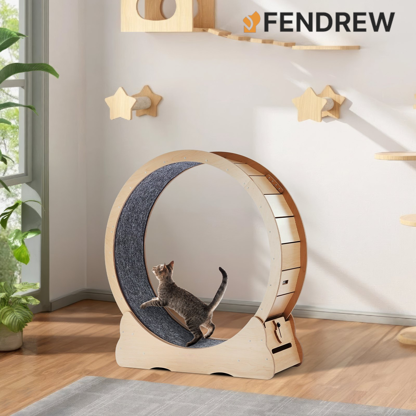 Cat Indoor Exercise Wheel Large